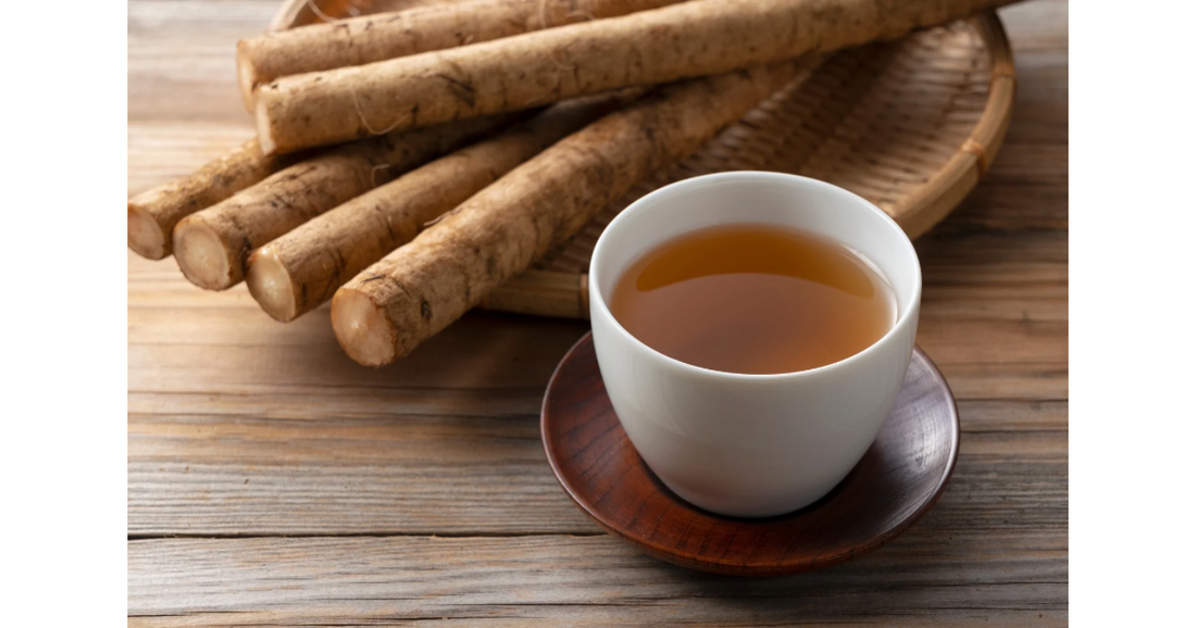 Burdock Root: Earthy Prebiotic Botanical