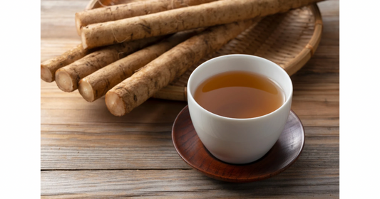 Burdock Root: Earthy Prebiotic Botanical