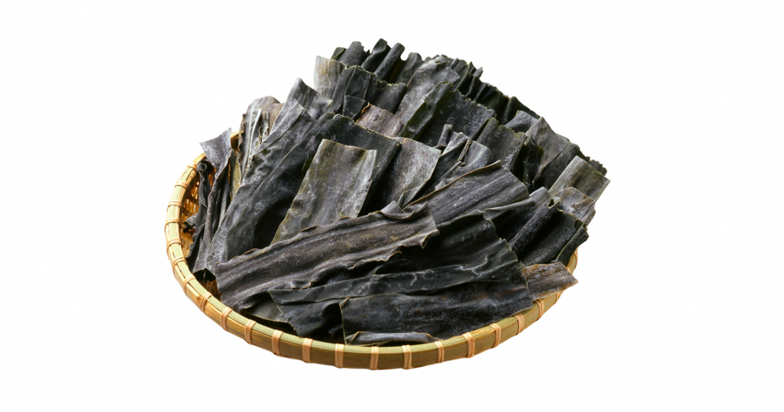 Kelp: Mineral-Rich Sea Vegetable
