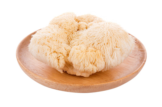 Lion's Mane: Focus Mushroom in Your Bone Broth